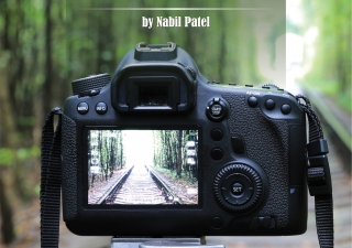 Click! Your Guide to Photography