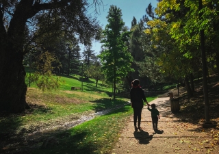 Taking the time to pause from our daily routine and responsibilities, away from devices and screens, can also help to offer a sense of perspective - much needed at this strange and uncertain time.