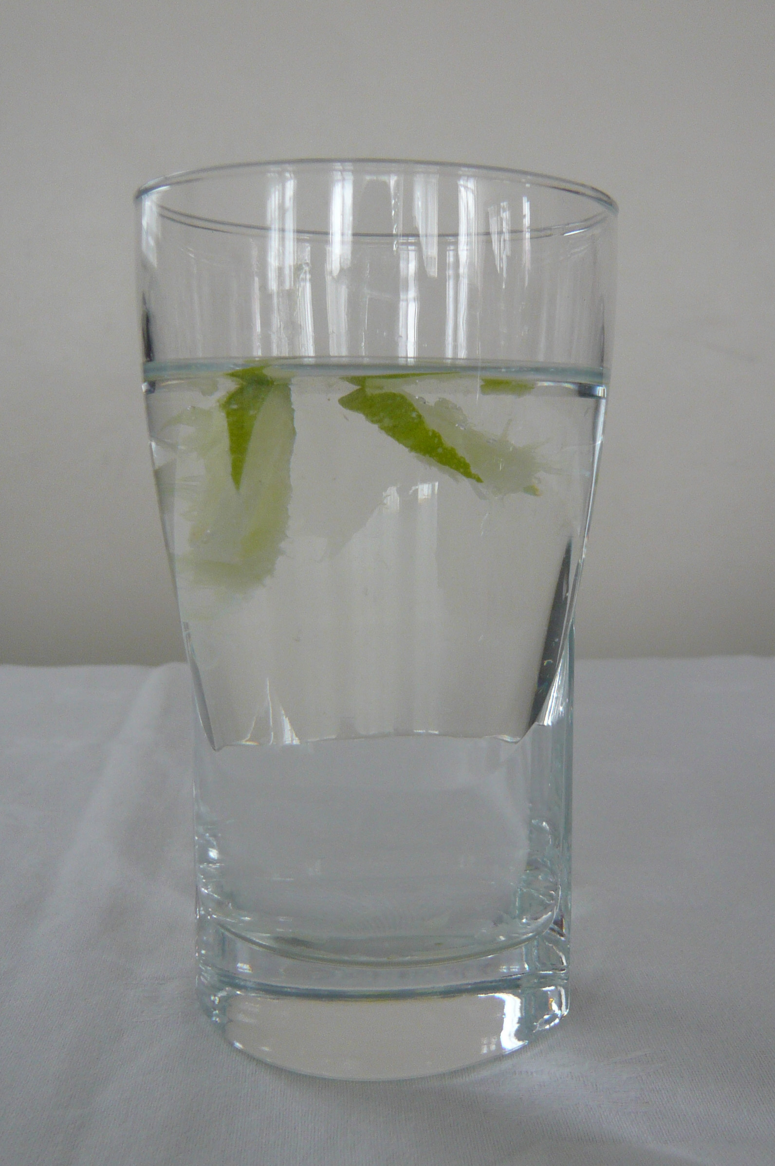 Water is the best source of fluid and can be flavoured by adding a slice of lemon or lime. Photo: Azmina Govindji