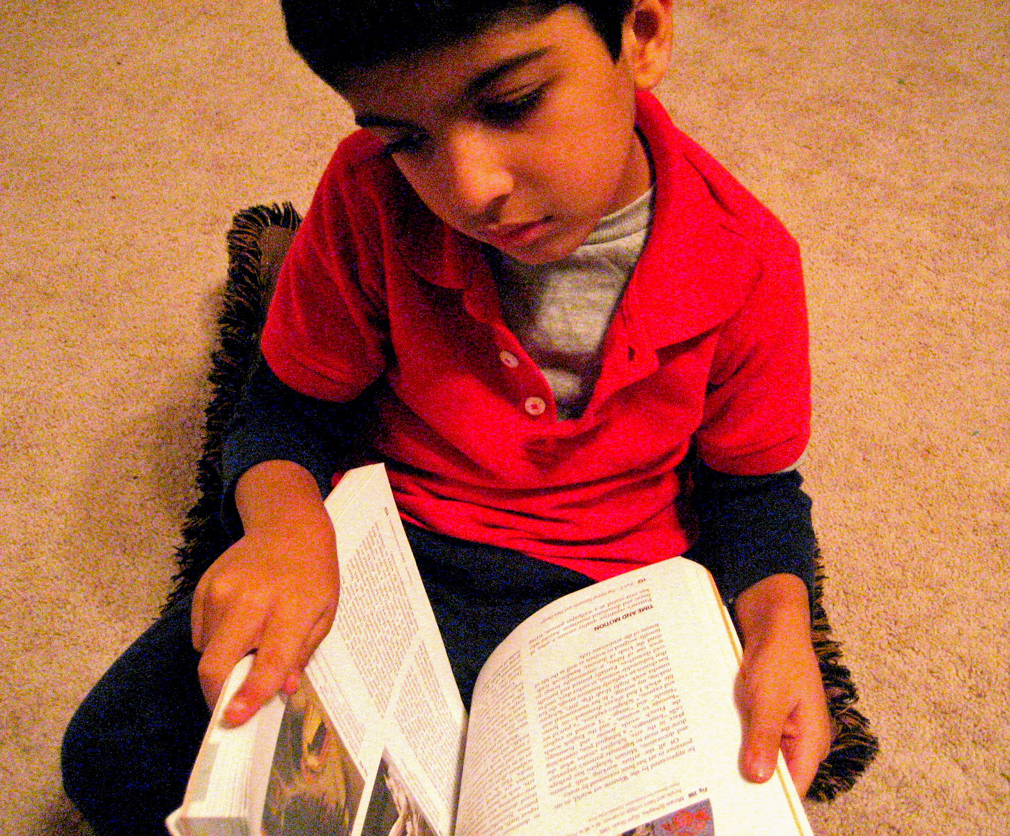 Five-year-old Sahil Nayani of Texas looks at pictures in an art book at his daycare. Photo: Farah Lalani