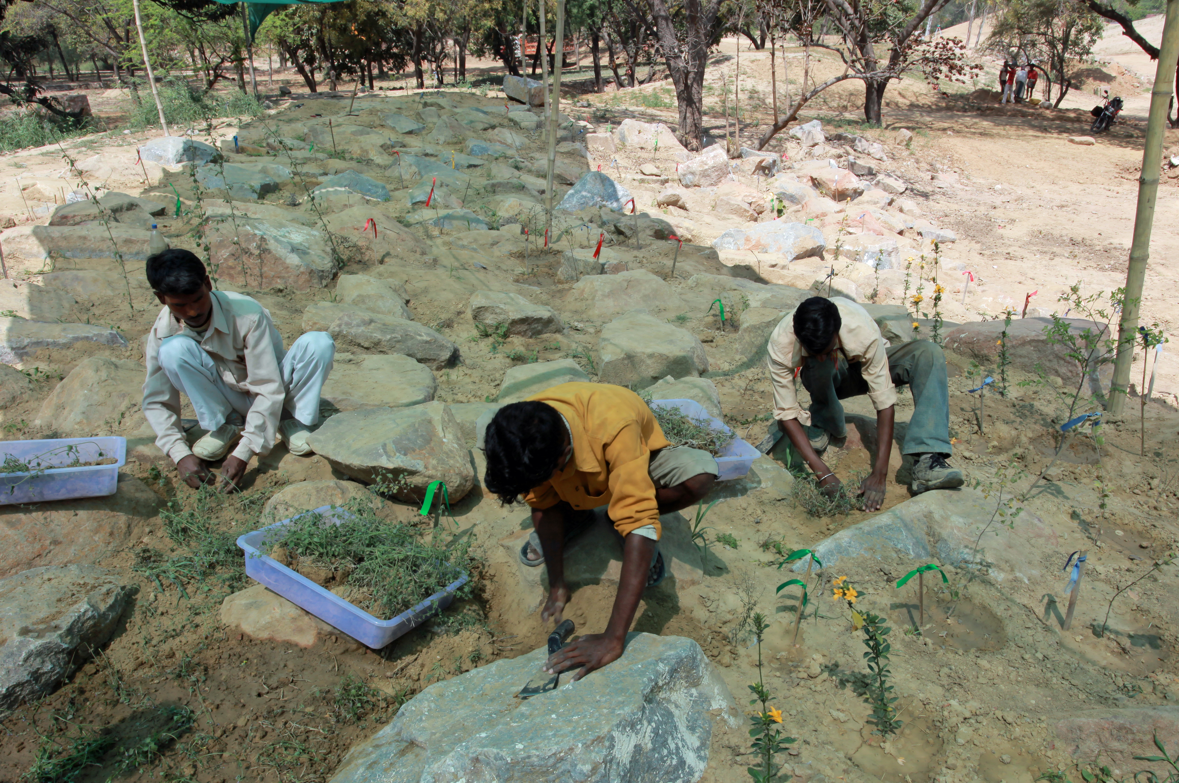 Workers plant on the micro-habitat mounds in Sunder Nursery in March 2010. Photo: Courtesy of AKTC