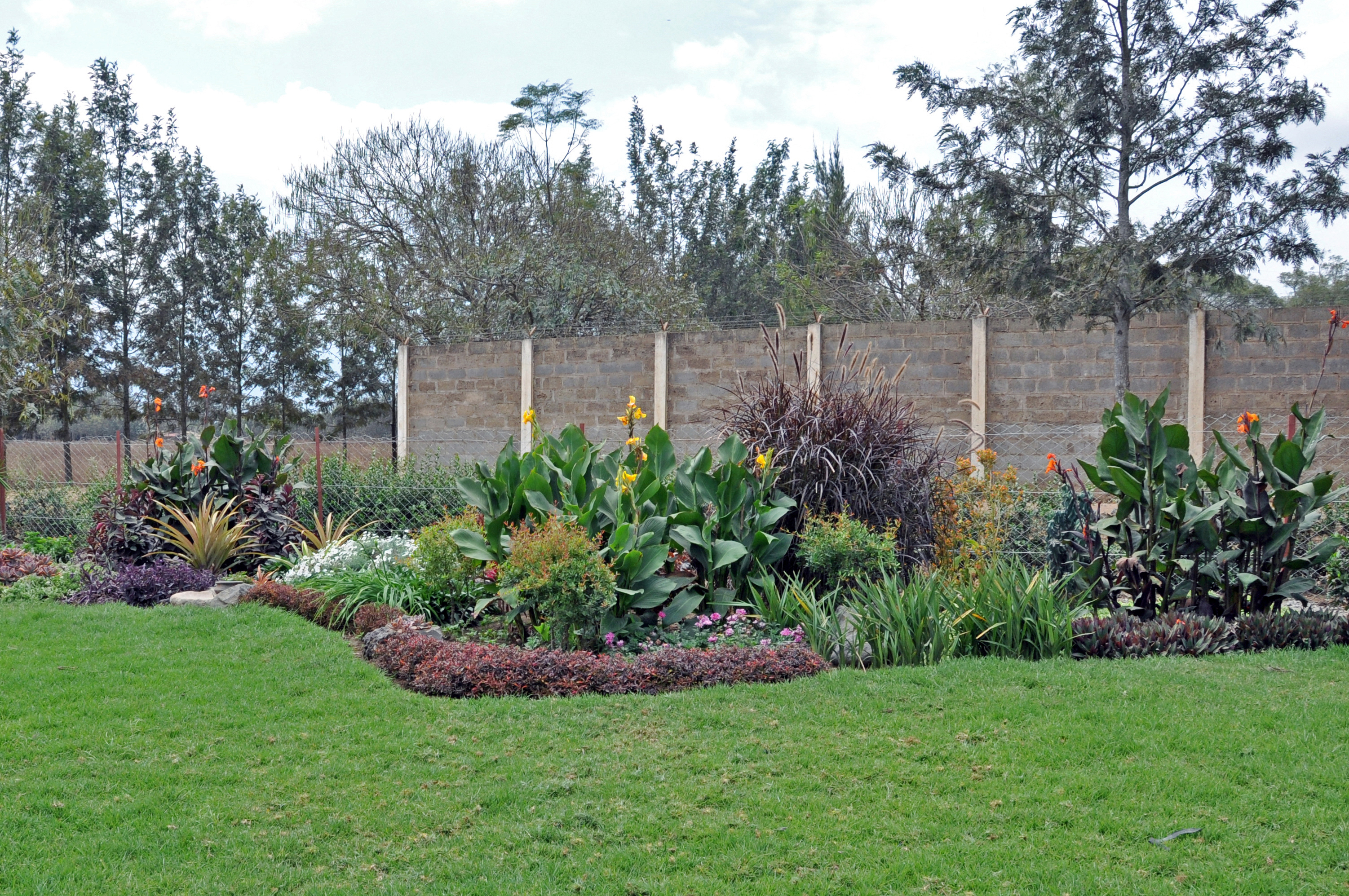 Hemani created her own lawn by keeping grass cuttings, and has used divided plant beds to create a natural windbreak. Photo: AKU / Fateema Z. Ramji