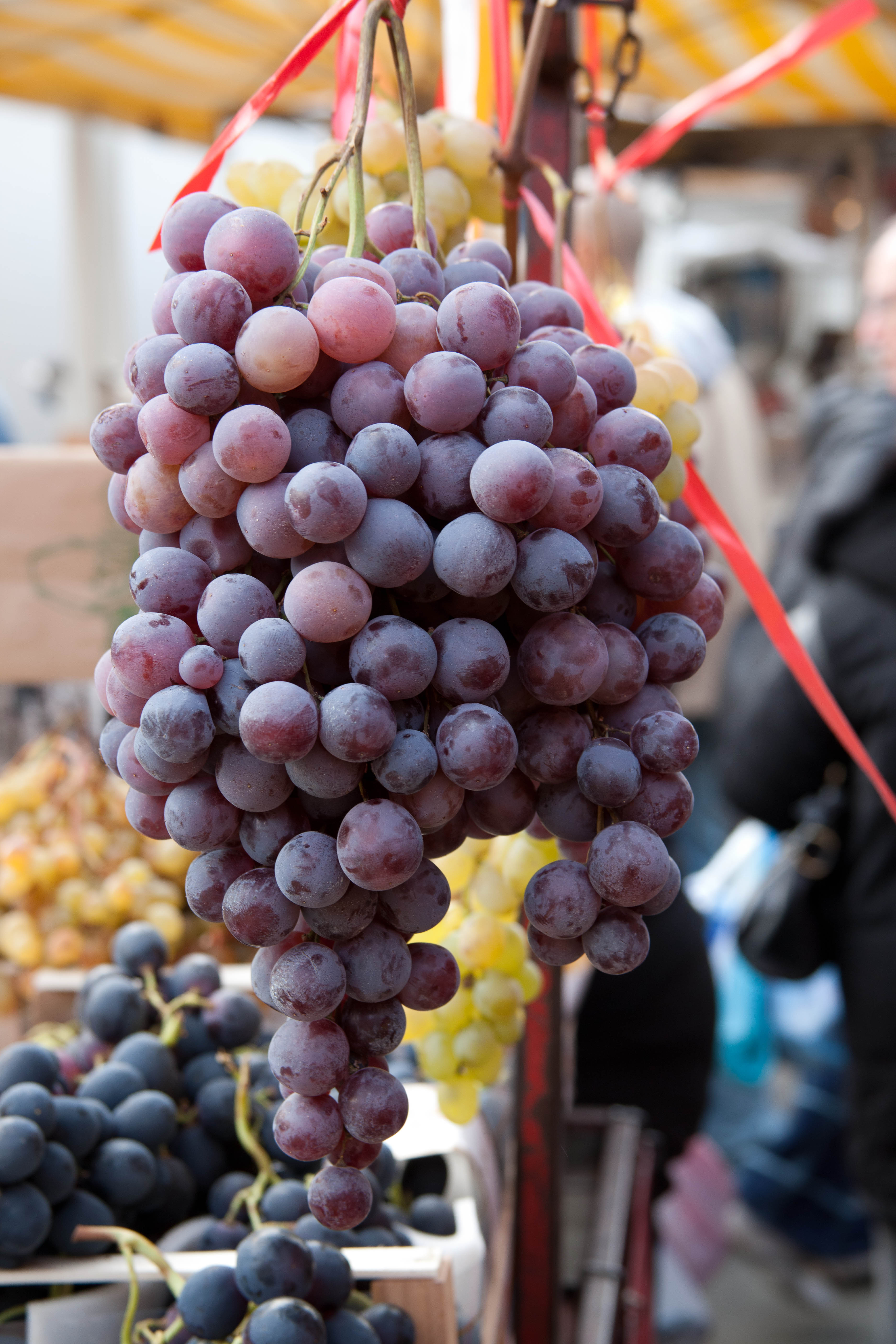 Choose brightly coloured fruits for a range of nutrients. Photo: Vanessa Courtier